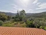 Standard Double room with garden view