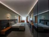 Luxury Suite