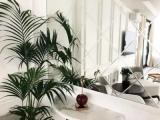 2 Bedrooms Presidential Suite with balcony and with panoramic view