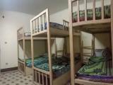 Bed in Dorm