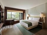 Standard Double room with garden view