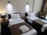 Standard Double room with garden view