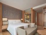 Deluxe Double room with view