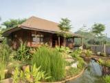 2 Bedrooms Family Villa