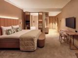 Deluxe Double room with park view
