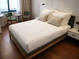 Double Family Suite with city view