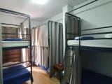 Bed in Dorm