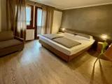 Standard Double room with balcony and with mountain view