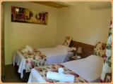 Standard room with garden view