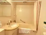 Deluxe Twin room with mountain view