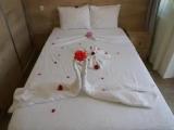 Standard Double room with balcony and with mountain view