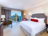 Presidential Double Suite