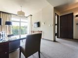1 Bedroom Deluxe Double Apartment with balcony