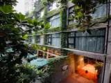 Standard Penthouse room
