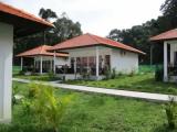 Deluxe Villa with garden view