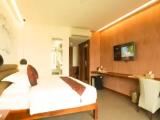 Deluxe Double room with garden view