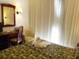 Standard Single room with balcony