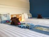 Standard Twin room with balcony