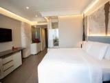 Premier Deluxe Double room with river view
