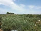 Standard Double room with land view