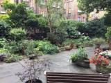 2 Bedrooms Single Apartment