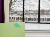 Bed in Dorm