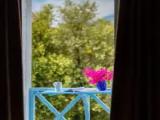 Standard Double room with garden view