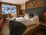 Standard Double room with balcony and with mountain view
