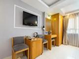 Luxury Suite with city view