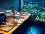 Single Junior Suite