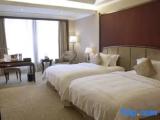 Executive Twin Suite