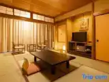 Standard Penthouse room