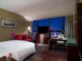 Superior Double Club room