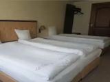Economy Triple room