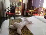 Run of House