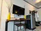 Standard Twin room with balcony and with garden view