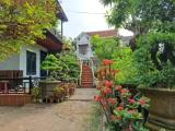 Superior Double room with garden view