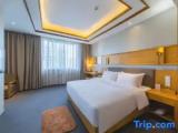 Triple Family Suite