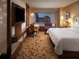 Club Lounge Access Double room