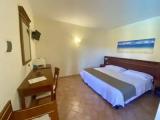 Superior Double room with pool view