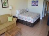 Double Studio with ocean view