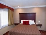 1 Bedroom Standard Double room