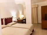 Standard Twin room with garden view