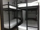 Bed in Dorm