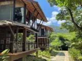 Suite with balcony and with garden view