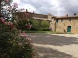 1 Bedroom Apartment with garden view