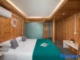 Standard Double room with balcony and with view