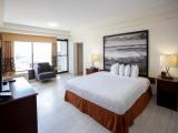 1 Bedroom Standard Double room with city view