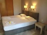 Standard Double room with garden view