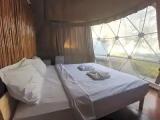 Eco Dome